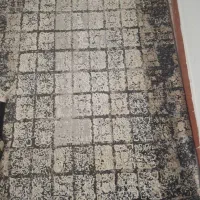 فروش فوری فرش|فرش|لنگرود, |دیوار