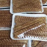 کوبیده  ب صورت منجمد شده عرضه جهادی
