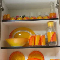سرویس ارکوپال