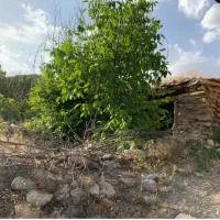 زمین در جاده چالوس شهرستانک