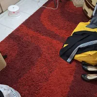 قالیچه مرینوس ترکیه|فرش|تهران, دولاب|دیوار