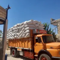 کاه گندم|حیوانات مزرعه|مسجد سلیمان, |دیوار