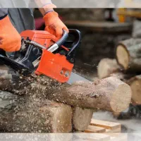 برش انواع درخت های مزاحم