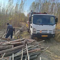 باربری و چوب مجوز دار