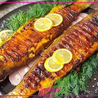 فروش ماهی زنده