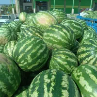 ارسال هندوانه ی جوین همه روزه