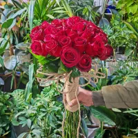 گل برای روز دختر|گل و گیاه طبیعی|اصفهان, شمس آباد|دیوار