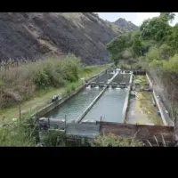 پرورش ماهی/شیلات