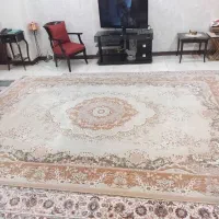 فرش ۹ متری شاهکار کویر یزد گل برجسته و سالم|فرش|پردیس, فاز ۸|دیوار