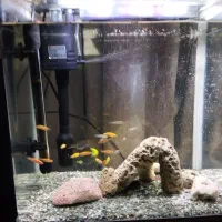 آکواریوم K390فروش فوری