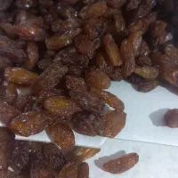 کشمش آفتابی(محصولات ارگانیک)|خوردنی و آشامیدنی|سبزوار, پاسداران|دیوار