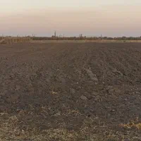 زمین آبی|اجارهٔ دفتر صنعتی، کشاورزی، تجاری|نقده, |دیوار