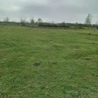 زمین هکتاری برای احداث گلخانه ، دامداری ، مسکونی