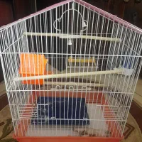 قفس تمیز در حدنو سالم  فقط چند ماه استفاده شد