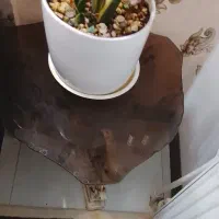 میز|میز و صندلی غذاخوری|مشهد, فدک|دیوار