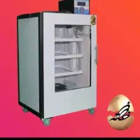 دستگاه جوجه کشی فاخته چناران