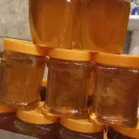 عسل گون اصلی ساکروز زیر ۳ بومی کرمانشاه|خوردنی و آشامیدنی|کاشان, ملاصدرا|دیوار