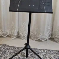 ویلن|ویولن|اسلام‌شهر, باغ فیض|دیوار