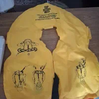 محافظ استخری