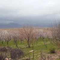 کارگر جهت باغ و دامداری