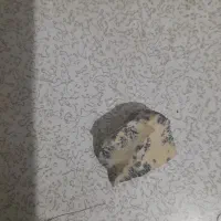 سنگ اصل شجر