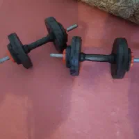 دنبل درحد نو