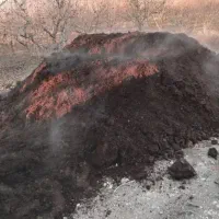 کودحیوانی کود حیوانی گوسفندی|خدمات باغبانی و درختکاری|کرمانشاه, |دیوار