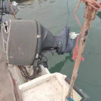 فروش گلف و موتور115یاماها با ادوات|قایق و سایر وسایل نقلیه|بندر گناوه, |دیوار