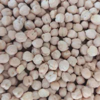 نخود عمده|عمده‌فروشی|کرمانشاه, |دیوار