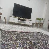 زیر تلوزیونی