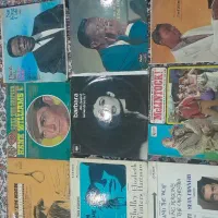 صفحه گرام سوزنی بزرگ