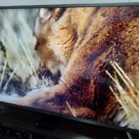 تلویزیون دوو  49 اینچ مدل 4K