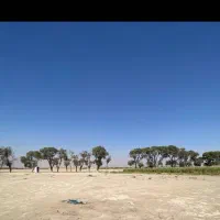 فروش زمین گلخانه‌ای زنان متراژ 7100متر|فروش دفتر صنعتی، کشاورزی، تجاری|قدس, زرنان پایین|دیوار