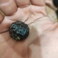 فروشی شهاب سنگ|کلکسیون اشیاء عتیقه|میمند, |دیوار