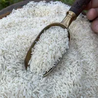 فروش برنج طارم هاشمی درجه یک بی واسطه