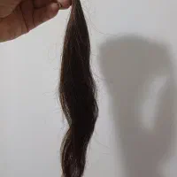 فروش ۴۰سانت طبیعی