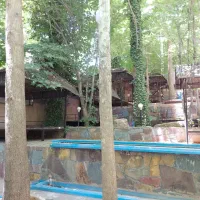 باشگاه بدنسازی باغ بهشت اجاره استخر سونا جکوزی|اجارهٔ مغازه و غرفه|شیراز, انجیره|دیوار