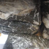سبزی قرمز