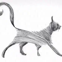 گربه