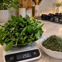 نعنای خشک و پودر شده خانگی