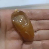 رطب شاهانی