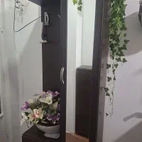 جاکفشی و جالباسی