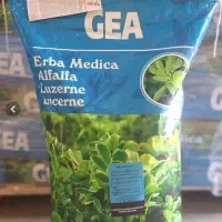 بذریونجه GEA