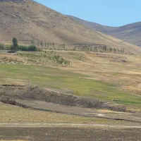 اجاره زمین کشاورزی با 5اینچ آب پمپاژ رودخانه|اجارهٔ دفتر صنعتی، کشاورزی، تجاری|فریدونشهر, |دیوار