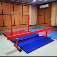 پارس ژیمناستیک تولید کننده وسایل ژیمناستیک|تجهیزات ورزشی|تهران, شهید رجایی|دیوار