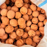 گردو بوانات|خوردنی و آشامیدنی|شیراز, قدوسی شرقی|دیوار