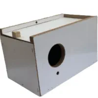 لانه عروس هلندی