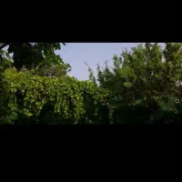 ویلاباغ-خانه-منزل-کرایه-و-مسافر