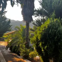 اجاره سوئیت شهری یاجنگلی از مالک نزدیک بازار ودریا|اجارهٔ کوتاه‌مدت آپارتمان و سوئیت|آستارا, |دیوار