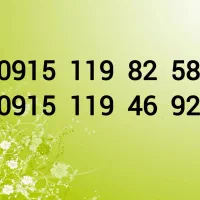 0915-119-82-58